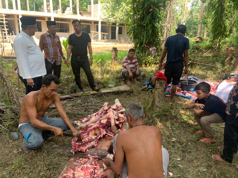 Plt Bupati Kuansing Suhardiman Amby Tahun Ini, Pemkab Kuansing Sembelih 25 Ekor Hewan Kurban