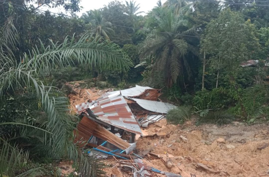 Hujan Deras, Longsor Terjang Simpang Perawang Minas, Lima Warung Hancur