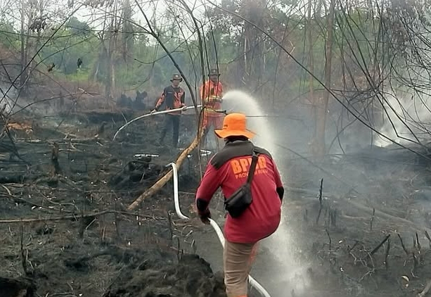 BNPB Bentuk Satgas Darat Tambahan Tangani Karhutla di Riau