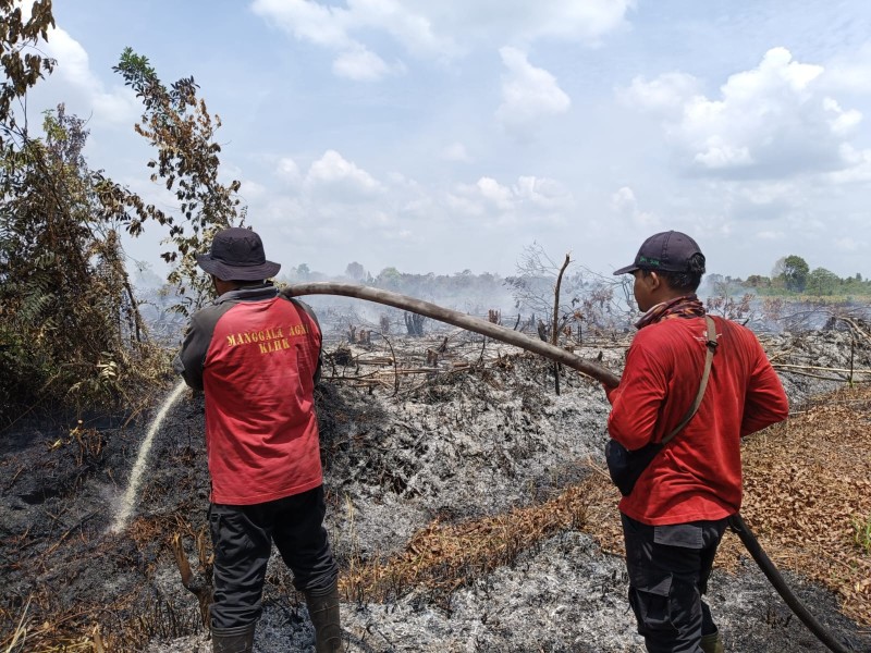 Tim Berjuang dengan Air Minim, Karhutla Kampar Masih Sulit Dikendalikan