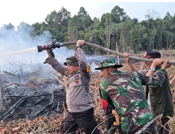 10 Hektare Lahan di Sebelah Cagar Biosfer GSK Siak Terbakar, Api Berhasil Dipadamkan 