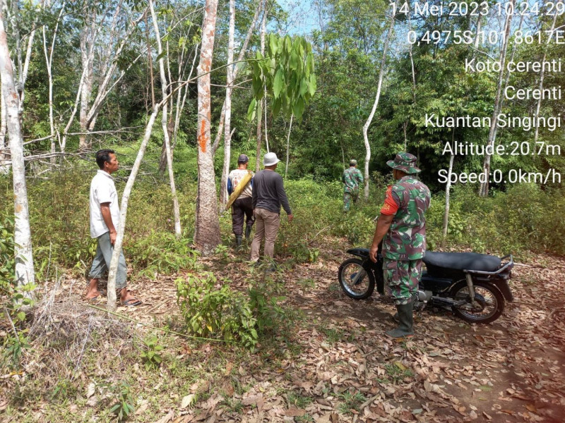 Babinsa Koramil 06/Cerenti Tetap Lakukan Patroli Pencegahan Karhutlah Walaupun Cuaca Tidak Menentu