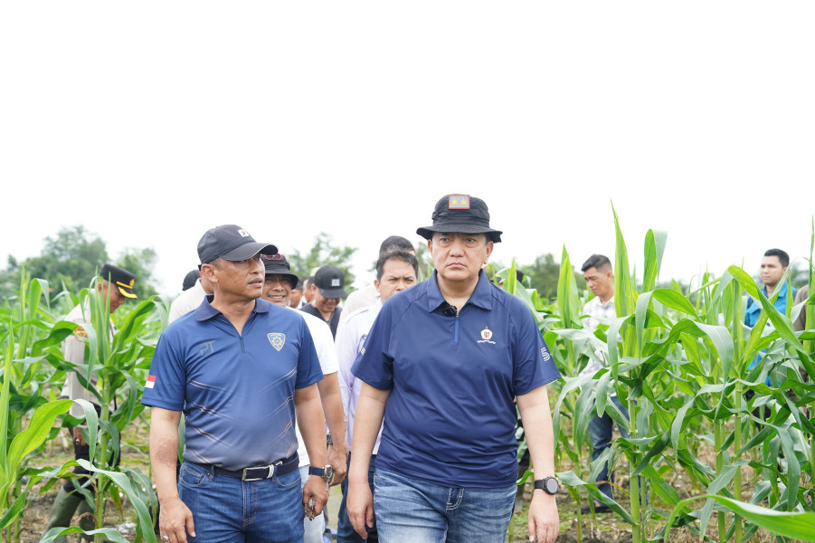 Kapolda Riau Tinjau Lahan Ketahanan Pangan di Kabupaten Kampar