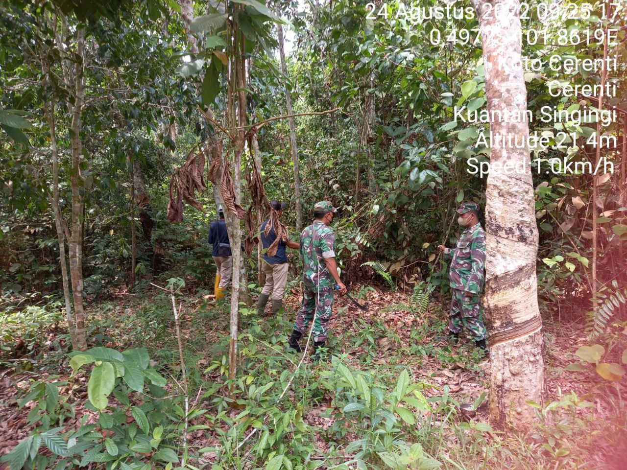 Di Desa Koto Cerenti Babinsa Koramil 06/Cerenti Kodim 0302/Inhu Telusuri Wilayah Binaan Untuk Antisipasi Karhutlah,Babinsa Koramil 06/Cerenti Ajak Warga Ikut Patroli