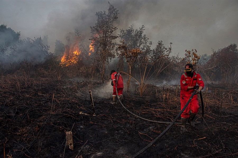 Riau Sumbang 81 Persen Hotspot di Sumatera, Rohil Terbanyak