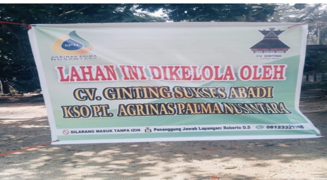 Kebun Sawit Milik Warga di Kota Lama Diserobot OTK, Mengaku KSO dan Catut Nama Agrinas