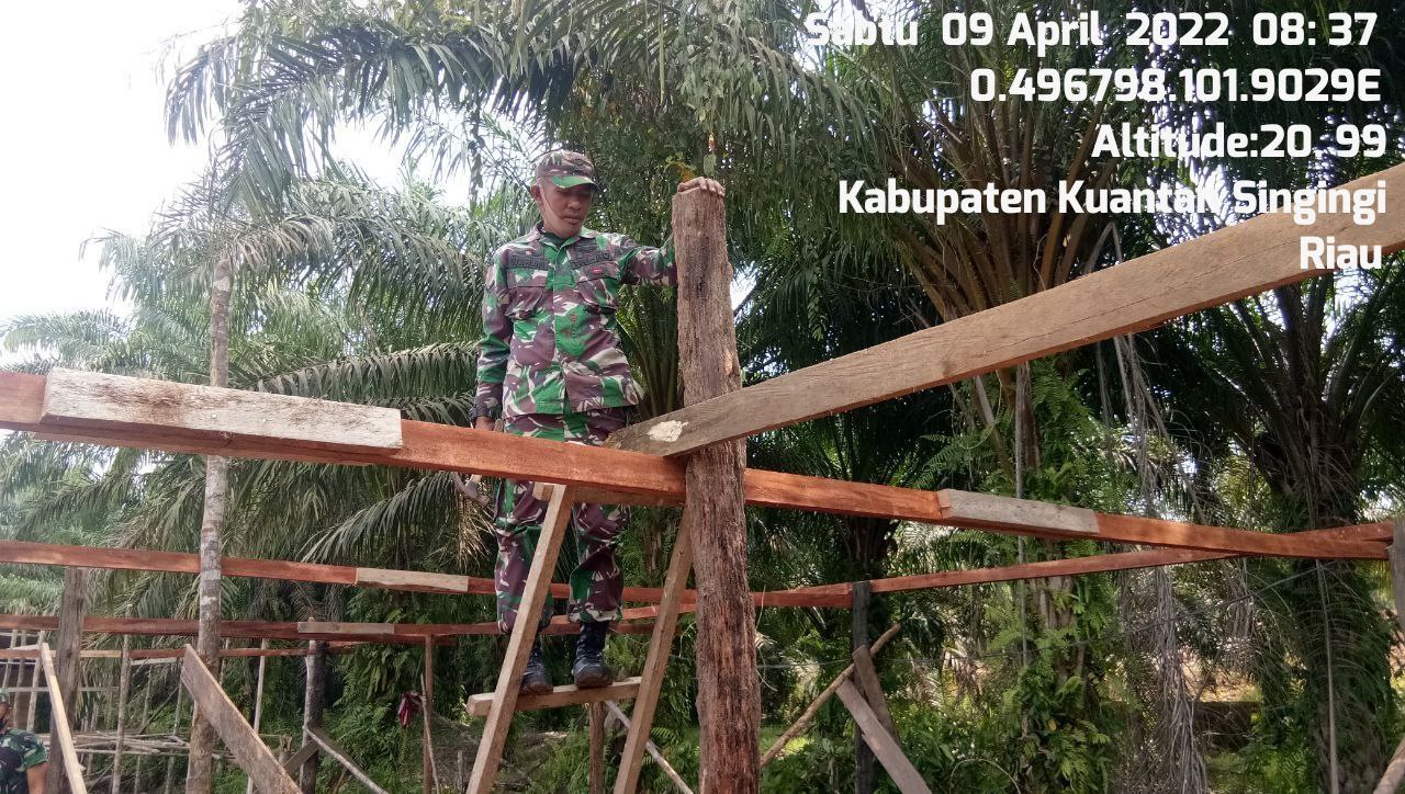 Babinsa Koramil 06/Cerenti Kodim 0302/Inhu Peduli Warga Binaan, Bantu Bangun Kandang Sapi di Seberang Pulau Busuk Kecamatan Inuman