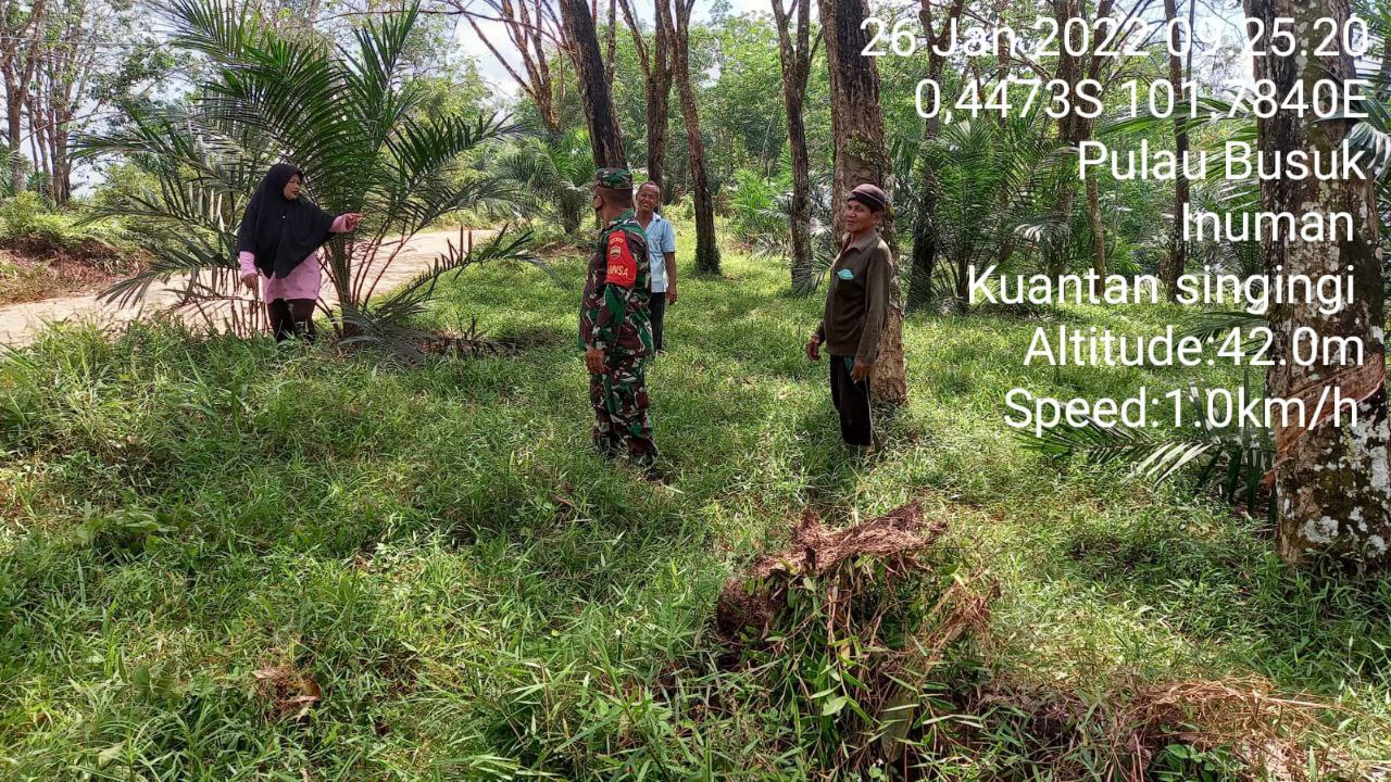 Babinsa Koramil 06/Cerenti  Kodim 0302/Inhu Terus Laksanakan Patroli Dan Sosialisasi Karlahut Di Desa Pulau Busuk Kecamatan Inuman