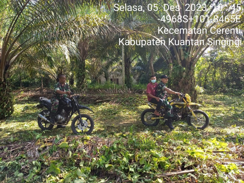 Babinsa Koramil 06/Cerenti Kodim 0302/Inhu, Serda Juanda Rutin Patroli Untuk Cegah Kebakaran Hutan Dan Lahan