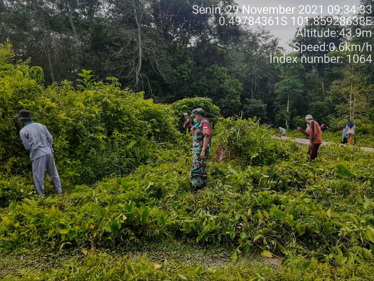 Babinsa Koramil 06/Cerenti Kodim 0302/ Inhu Bersama Warga Binaan Gotong Royong Bersihkan Lahan Kosong