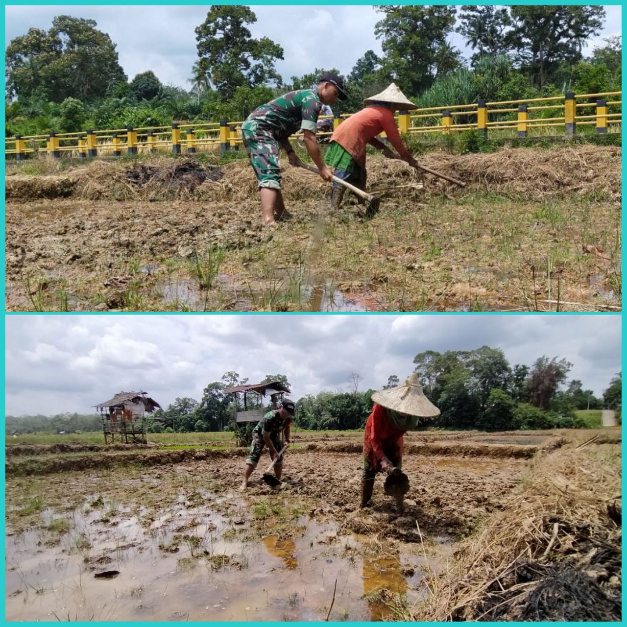 Sertu Parman Anggota Koramil 07/Kuantan Hilir Dim 0302/Inhu Membantu Petani Mengolah Lahan Pertanian.