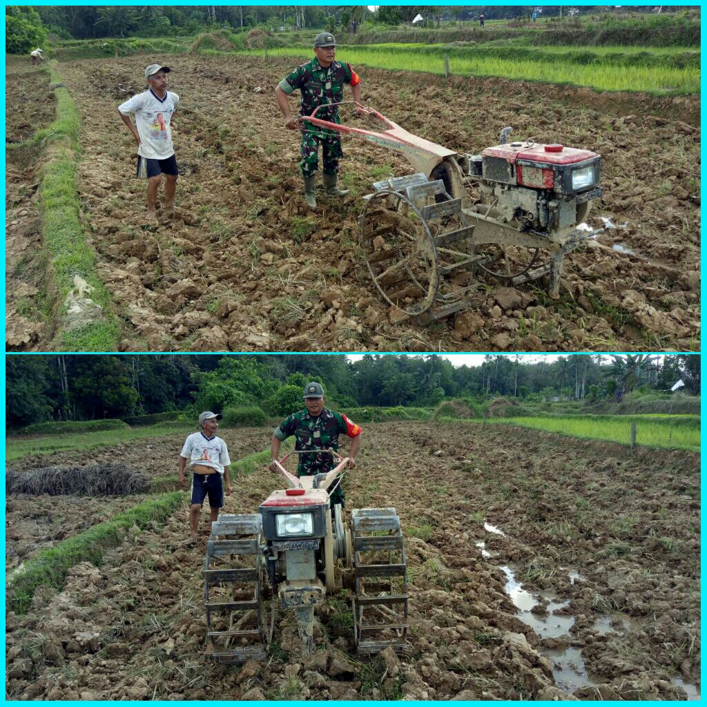Untuk Mewujudkan Swasembada Pangan Nasional Serda Yuliondra Membantu Petani Membersihkan Sawah Dengan Mesin Tracktor.