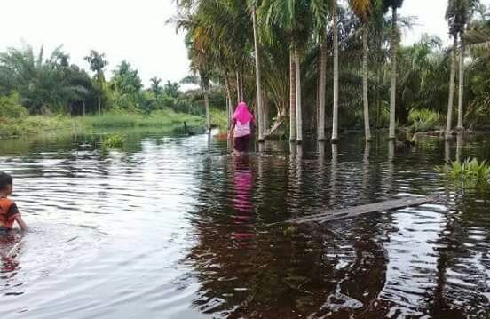 Bupati Inhil Instruksikan BPBD Berlakukan Siaga Banjir