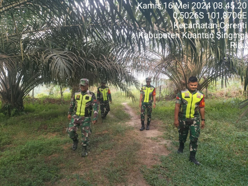 Babinsa Koramil 06/Cerenti Kodim 0302/Inhu Terus Laksanakan Patroli Dan Sosialisasi Tentang Bahaya Karhutla Diwilayah Binaan