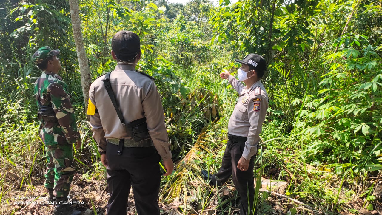 Polsek Bunut dan TNI Lakukan Patroli Karhutla Bersama