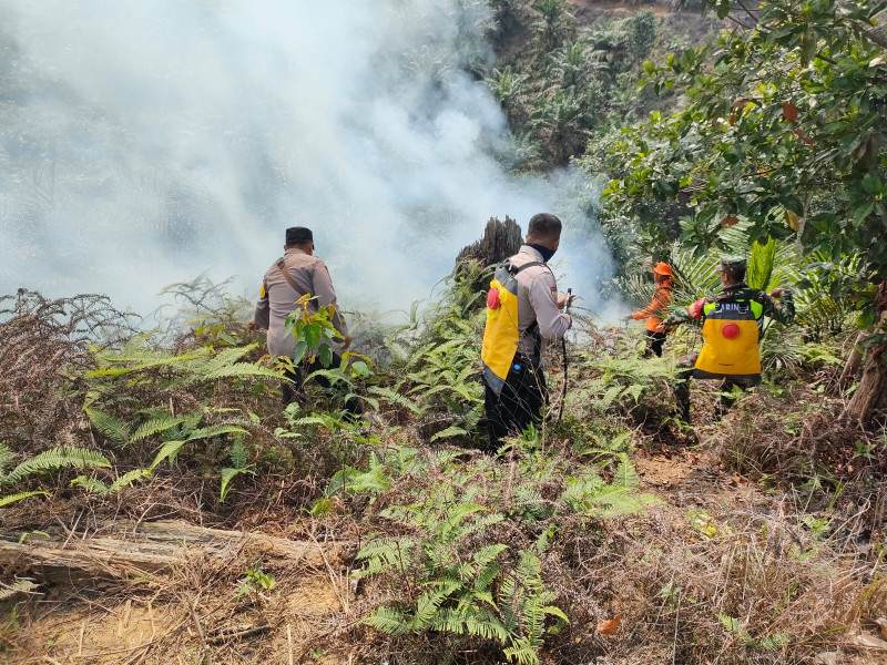 Kebakaran Lahan di Rokan IV Koto, Polres Rohul dan Satgas Karhutla Gerak Cepat Padamkan Api