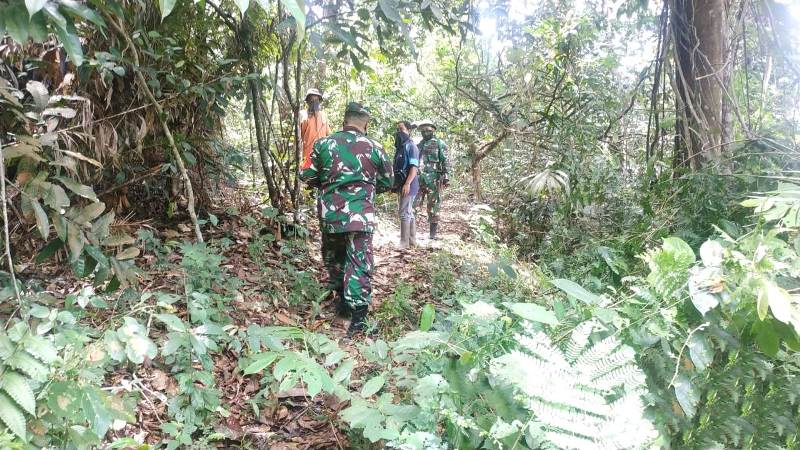 Dengan Berjalan Kaki, Babinsa Koramil 08/Tandun Patroli Karlahut di Desa Sei kuning 