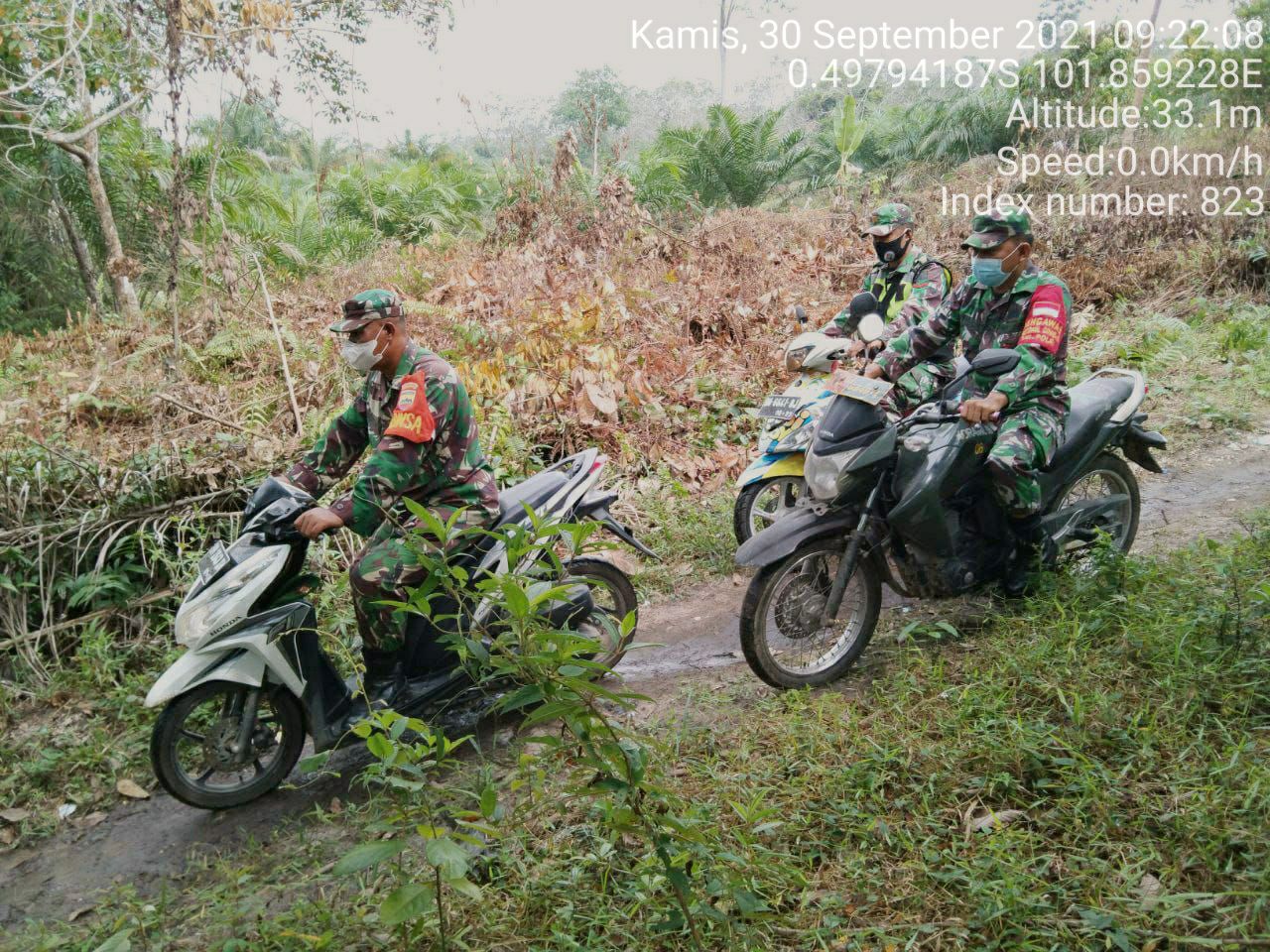 Babinsa Koramil 06/Cerenti Kodim 0302/Inhu ,Sertu Firman Laksanakan Patroli Untuk Cegah Kebakaran Hutan Dan Lahan