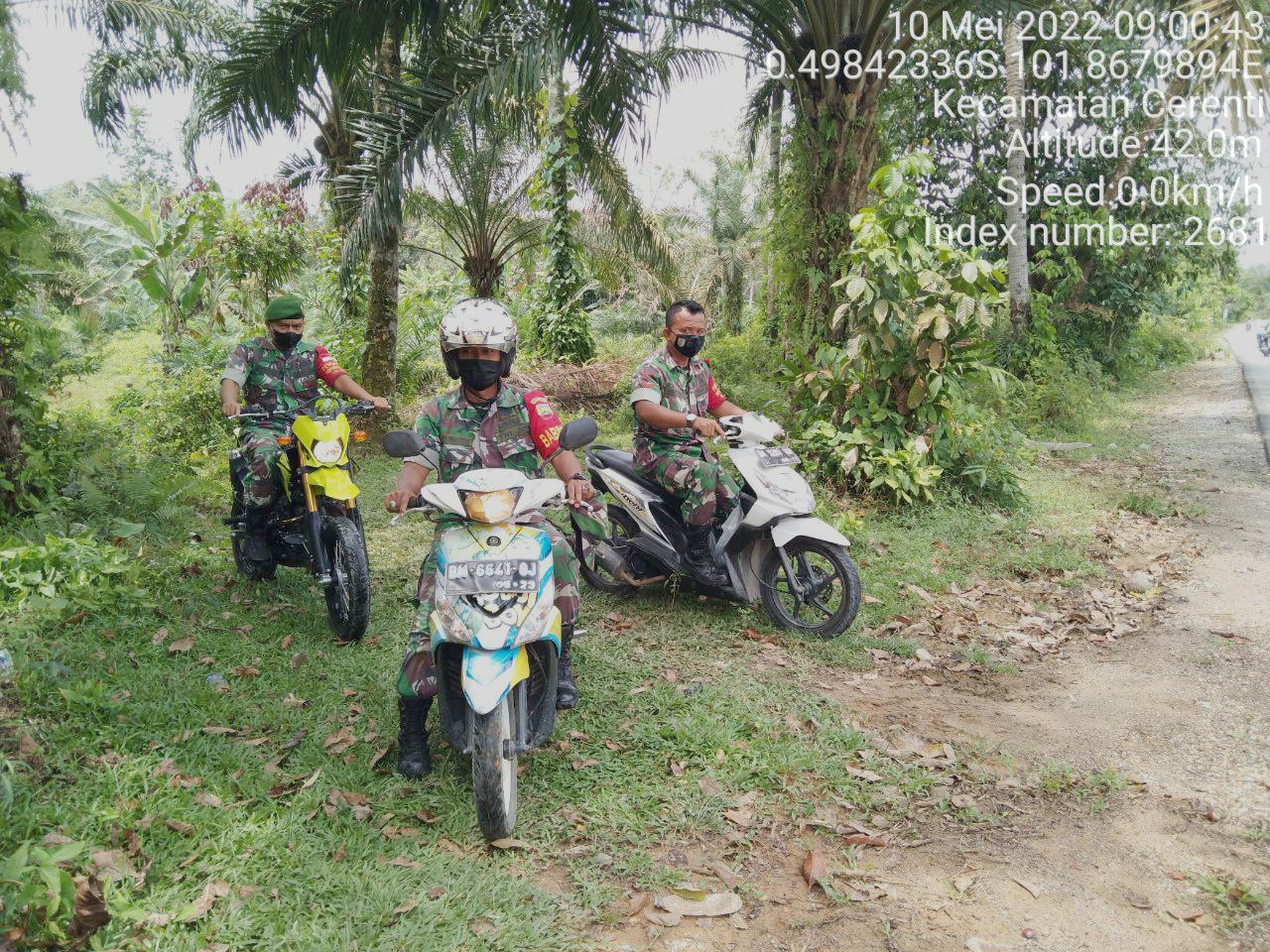 Sertu Efison Bersama Babinsa Koramil 06/Cerenti Kodim 0302/Inhu Lainnya Laksanakan Patroli Untuk Cegah Kebakaran Hutan Dan Lahan di Pulau Panjang Cerenti