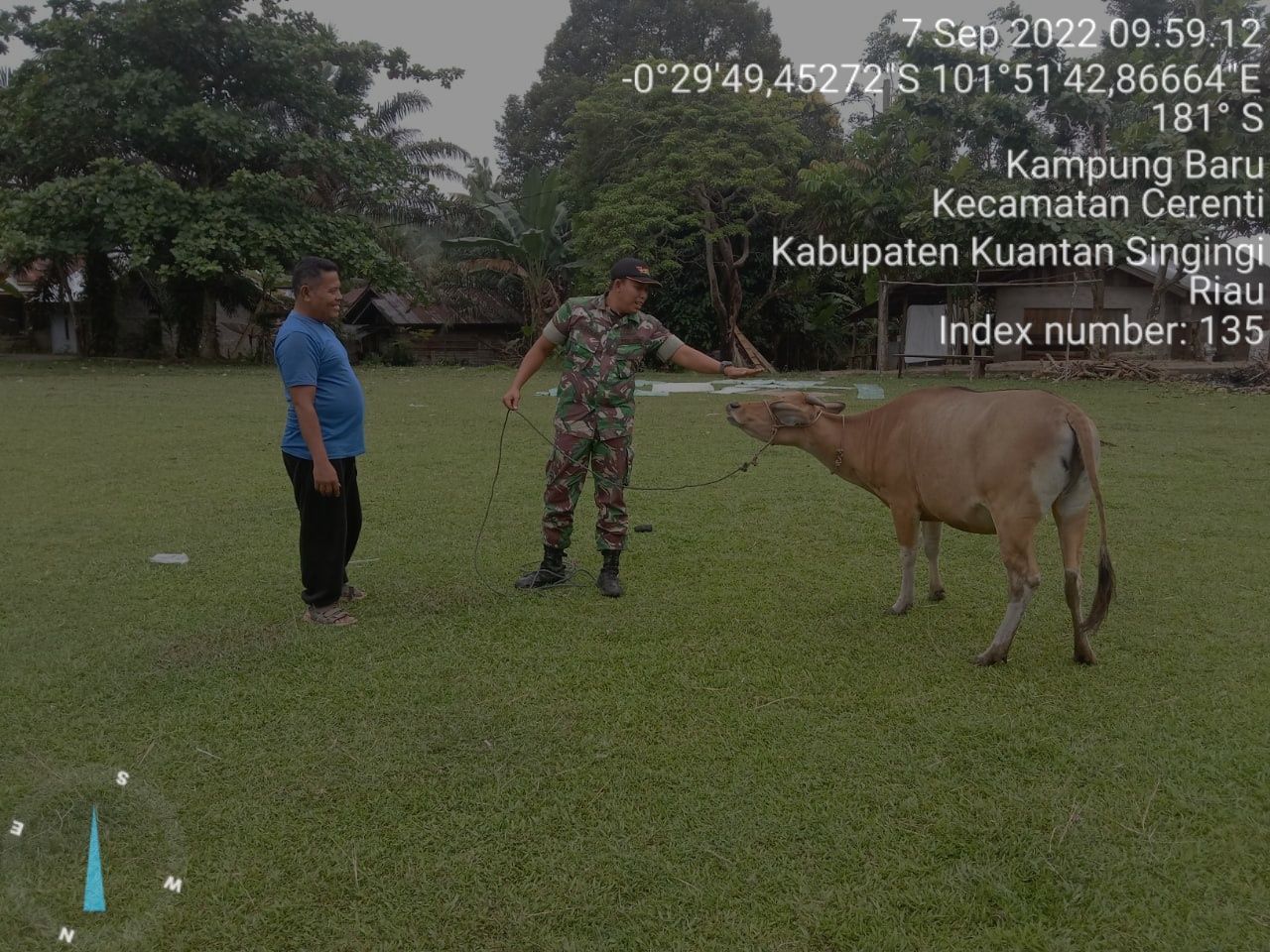 Kopda Mohammad Soleh Babinsa Koramil 06/Cerenti Kodim 0302/Inhu Mengantisipasi Penularan Penyakit Mulut Dan Kaki (PMK) Sapi 