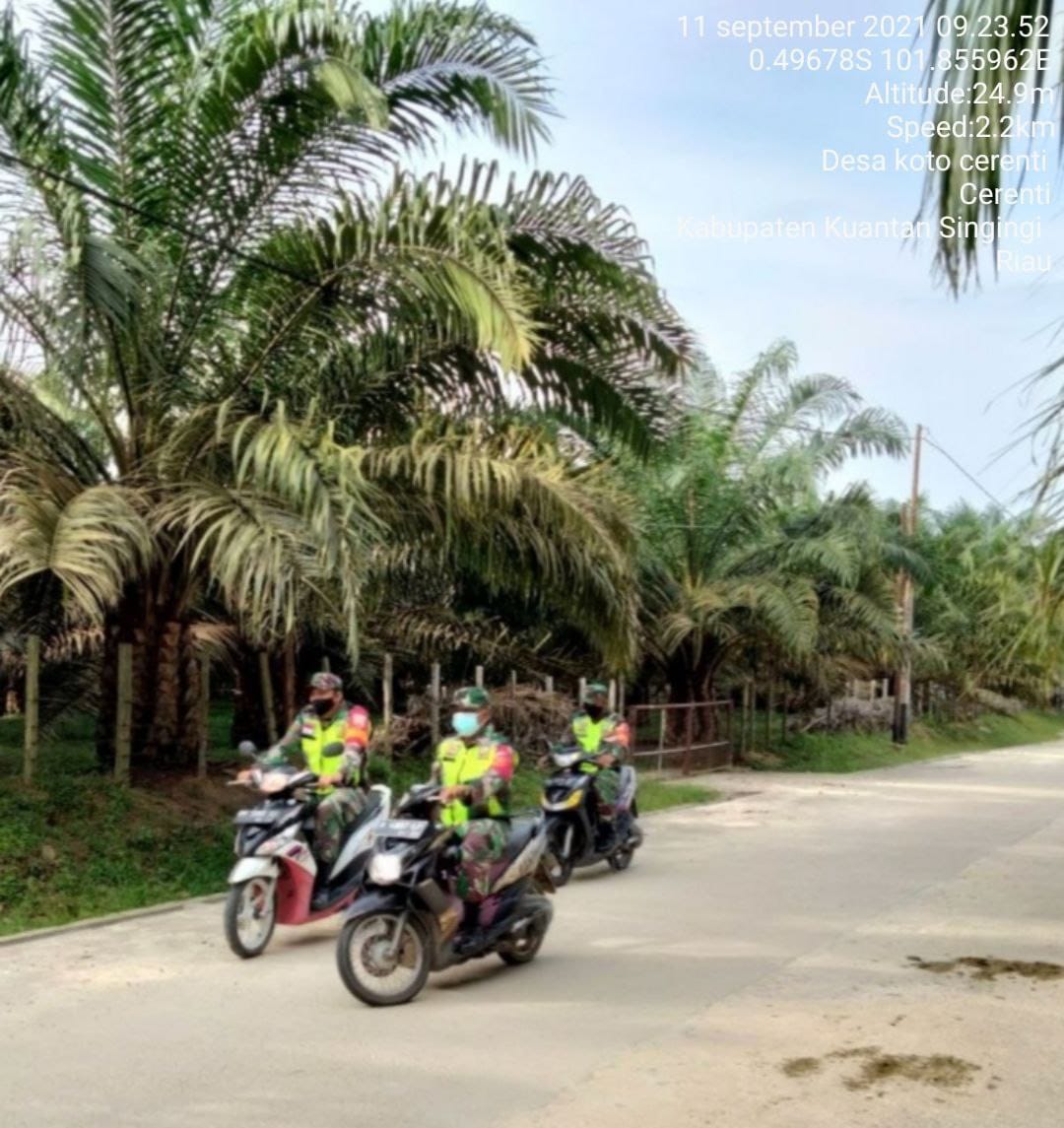 Babinsa Koramil 06/Cerenti Kodim 0302/ Inhu Melaksanakan Patroli Untuk Cegah Kebakaran Hutan Di Wilayah Binaanya di Desa Koto Cerenti