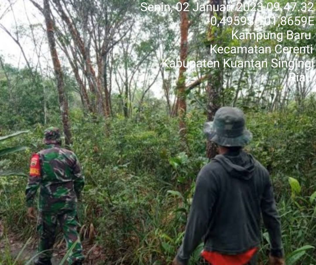 Di Desa Kampung Baru Cerenti Kecamatan Cerenti Babinsa Koramil 06/Cerenti Kodim 0302/Inhu Laksanakan Patroli Untuk Cegah Kebakaran Hutan Dan Lahan