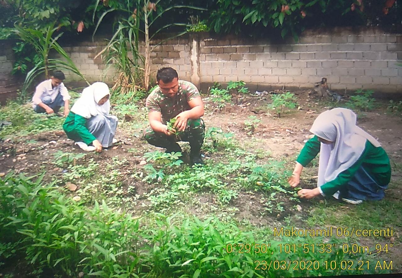 Bersama Anak-Anak PKL SMK Muhammadiyah Cerenti, Anggota Koramil 06/Cerenti,Gotong Royong Bersihkan Tanaman Sayuran Di Makoramil 06/Cerenti Dim 0302/Inhu.