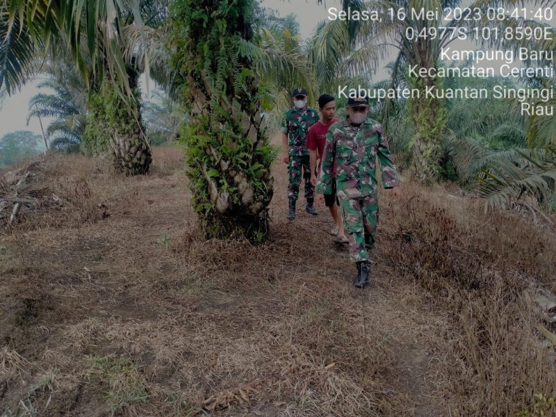 Sertu Firman dan Kopda Muhamad Soleh Babinsa Koramil 06/Cerenti Kodim 0302/Inhu Laksanakan Patroli Untuk Cegah Kebakaran Hutan Dan Lahan