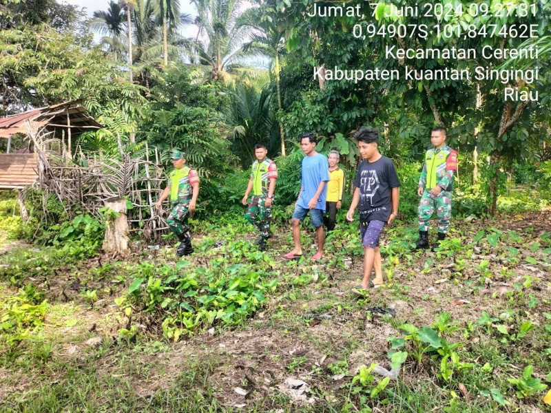 Anggota  Koramil 06/  Cerenti Kodim 0302//Inhu Melaksanakan Patroli Dan Pencegahan Kebakaran Hutan Dan Lahan Bersama Warga Masyarakat