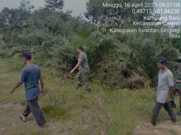 Babinsa Koramil 06/Cerenti Kodim 0302/Inhu Laksanakan Patroli Untuk Cegah Kebakaran Hutan Dan Lahan di Bulan Suci Ramadhan