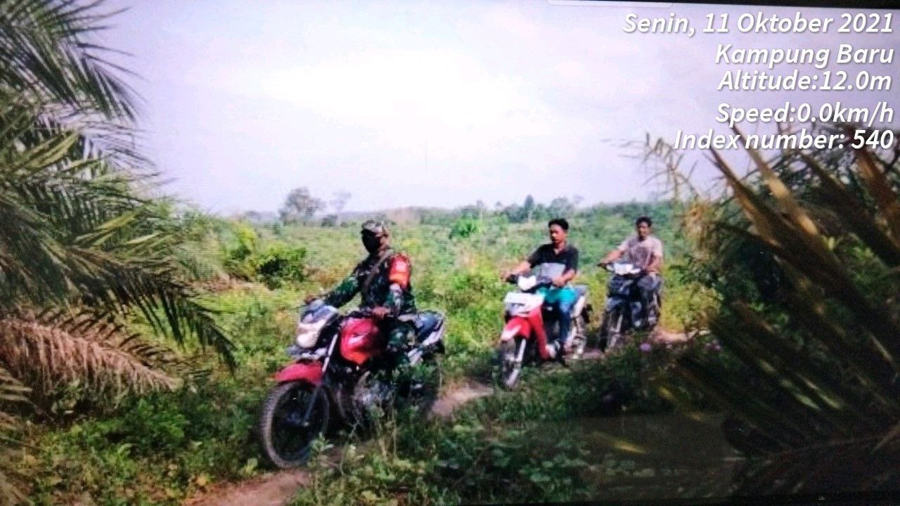 Babinsa Koramil 06/Cerenti Dim 0302/Inhu Gelar Patroli Dan Sosialisasi Pencegahan Karhutla di Kelurahan Koto Peraku Kecamatan Cerenti