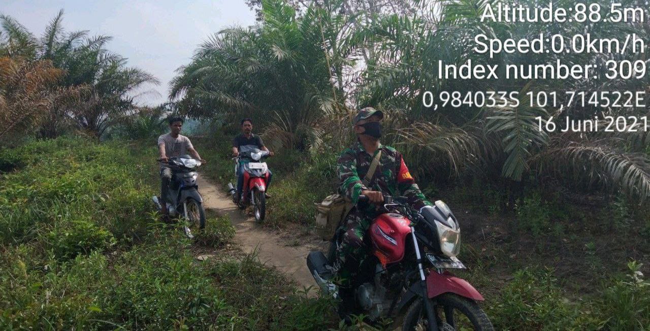 Cegah  Karlahut Babinsa Koramil 06/ Cerenti Laksanakan Patroli Dan Sosialisasi 