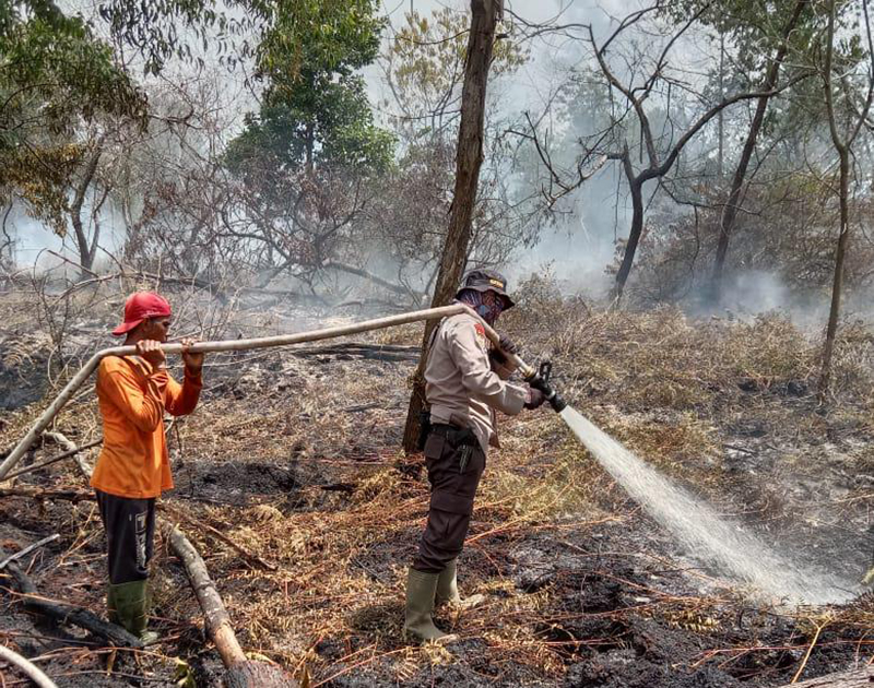 Polsek Teluk Meranti Pantau Titik Api yang Tak Termonitor Aplikasi Lancang Kuning