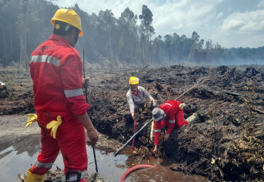 Hendak Ditanami Sawit, 27 Hektare Lahan di SM Giam Siak Kecil Terbakar