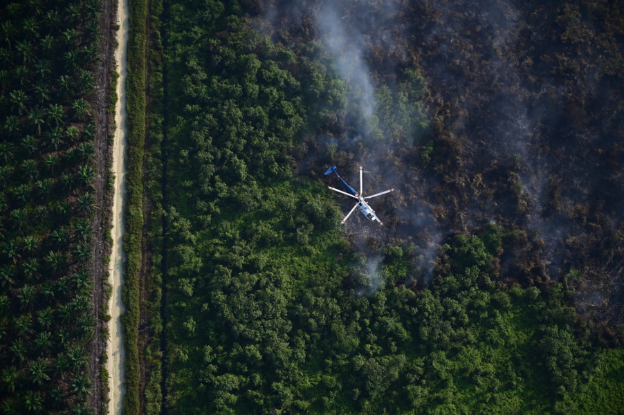 Operasi Udara Pantau Kondisi Hutan dan Lahan, TNI AU Deteksi Puluhan Titik Api di Riau