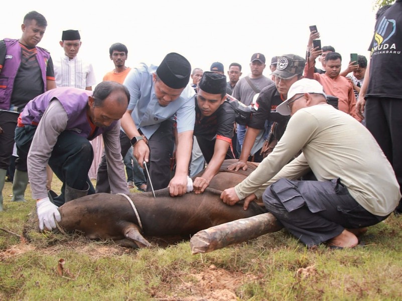Pemko Pekanbaru Sembelih 14 Hewan Kurban di Kompleks Perkantoran Tenayan Raya