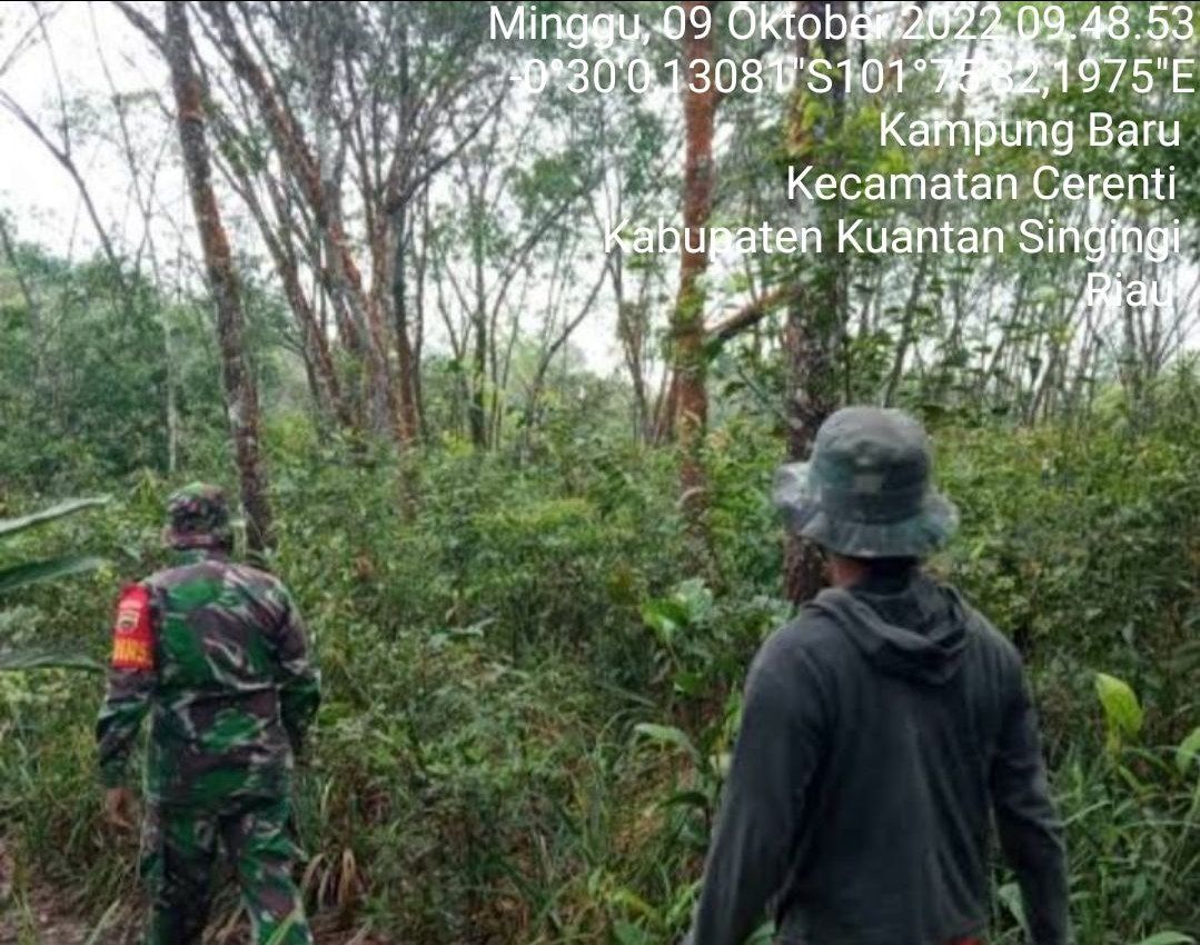 Antisipasi Karhutlah Babinsa Koramil 06/Cerenti Dim 0302/Inhu Laksanakan Patroli dan Sosialisasi Kepada Masyarakat