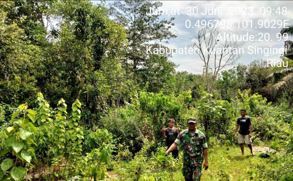 Serda Juanda Babinsa Koramil 06/Cerenti Kodim 0302/Inhu Laksanakan Patroli Untuk Cegah Karhutlah