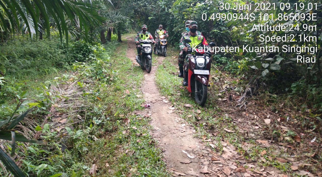 Upaya Babinsa Koramil 06/Cerenti Kodim 0302/Inhu Laksanakan Patroli Untuk Cegah Kebakaran Hutan di Desa Pulau Sipan