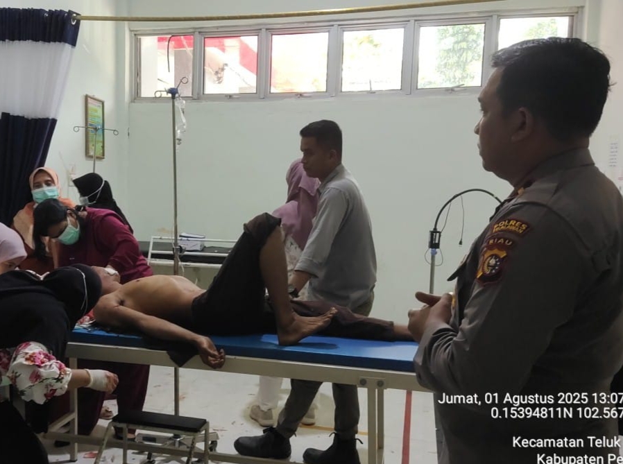 Diserang Harimau Saat Bekerja, Pekerja PT THEO Alami Luka Robek dan Patah Tulang