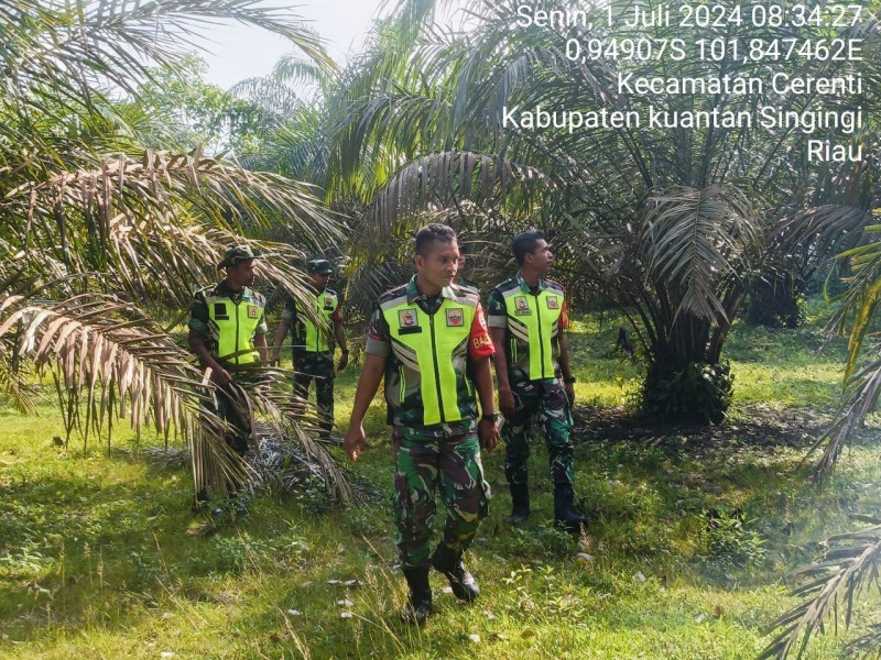 Personil Koramil 06/ Cerenti Kodim 0302/Inhu Melaksanakan Patroli Dan Pencegahan Kebakaran Hutan Dan Lahan di Wilayah Teritorialnya 