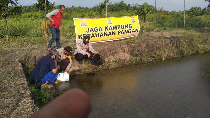 Polsek Kuala Kampar Laksanakan Program Jaga Kampung untuk Ketahanan Pangan 