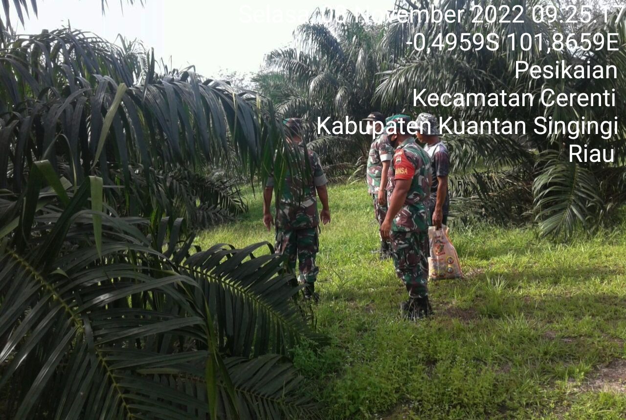 Tingkatkan Pengawasan Karlahut, Babinsa Koramil 06/ Cerenti Dim 0302/ Inhu Laksanakan Patroli dan Sosialisasi Kepada Masyarakat di Desa Pesikaian Kecamatan Cerenti