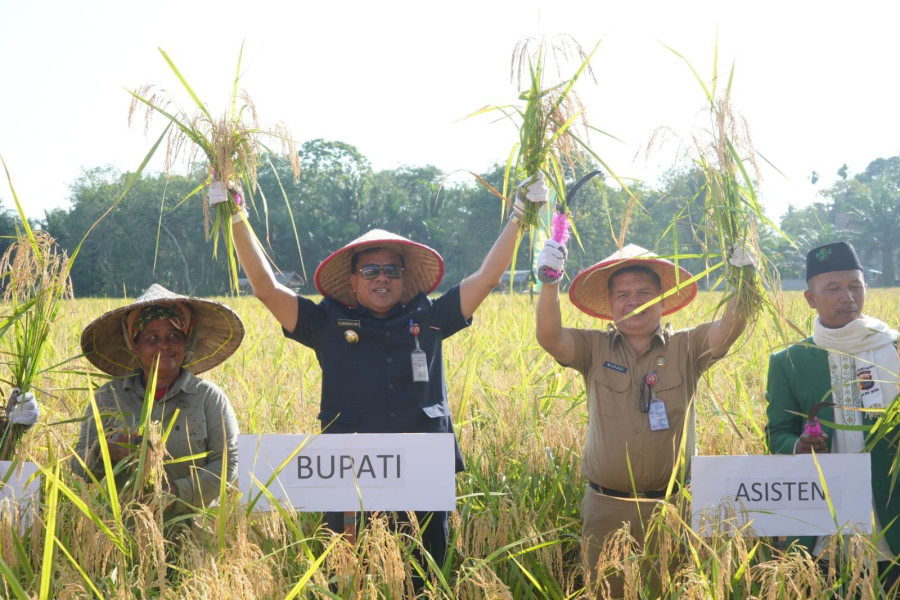Pasca Hadiri PENAS KTNA  Bupati Suhardiman Panen Raya di Lumbok