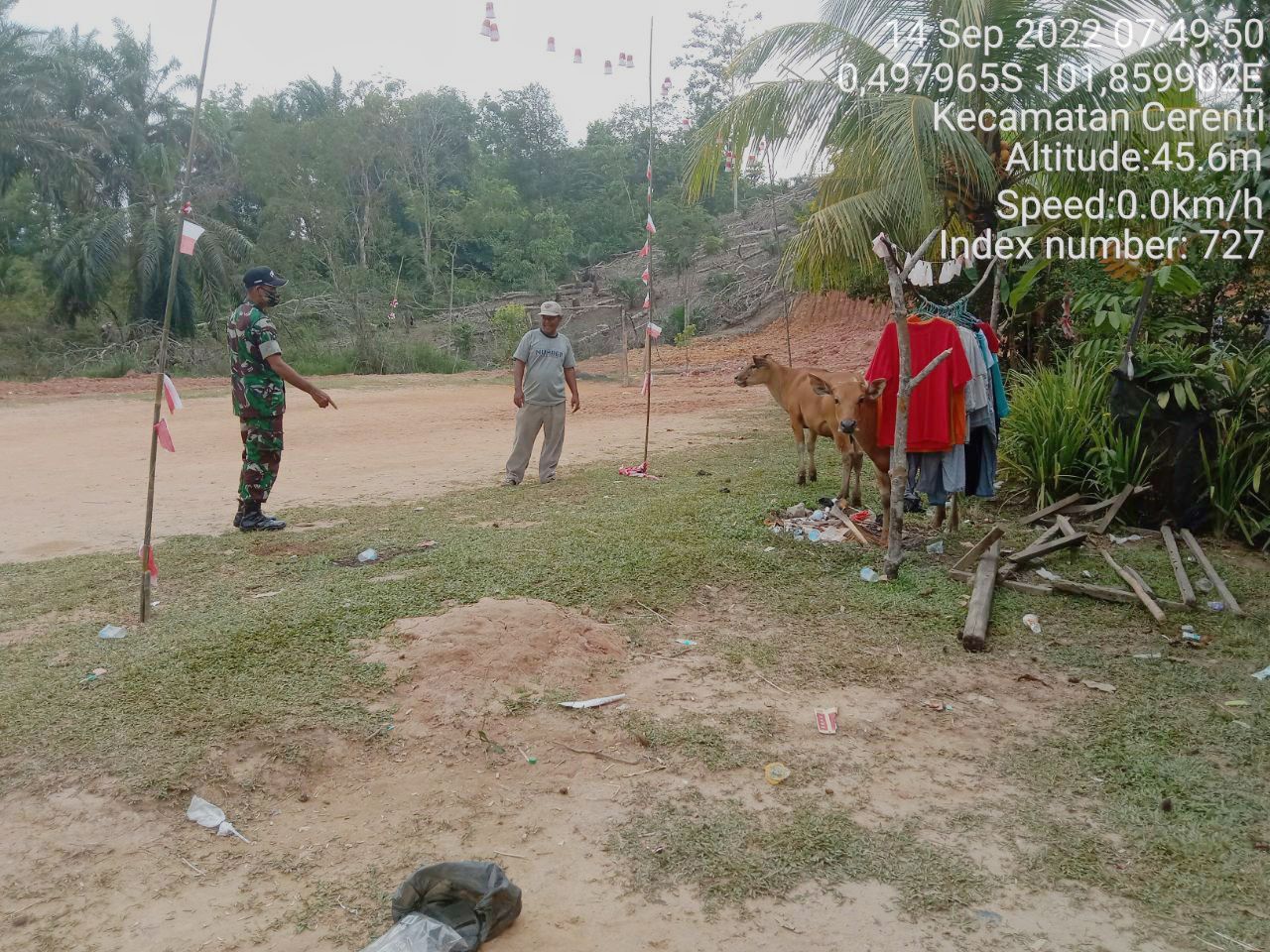 Antisipasi PMK Babinsa Koramil 06/Cerenti Kodim 0302/Inhu Cek Sapi Warga Binaan di Desa Pulau Jambu Cerenti Kecamatan Cerenti