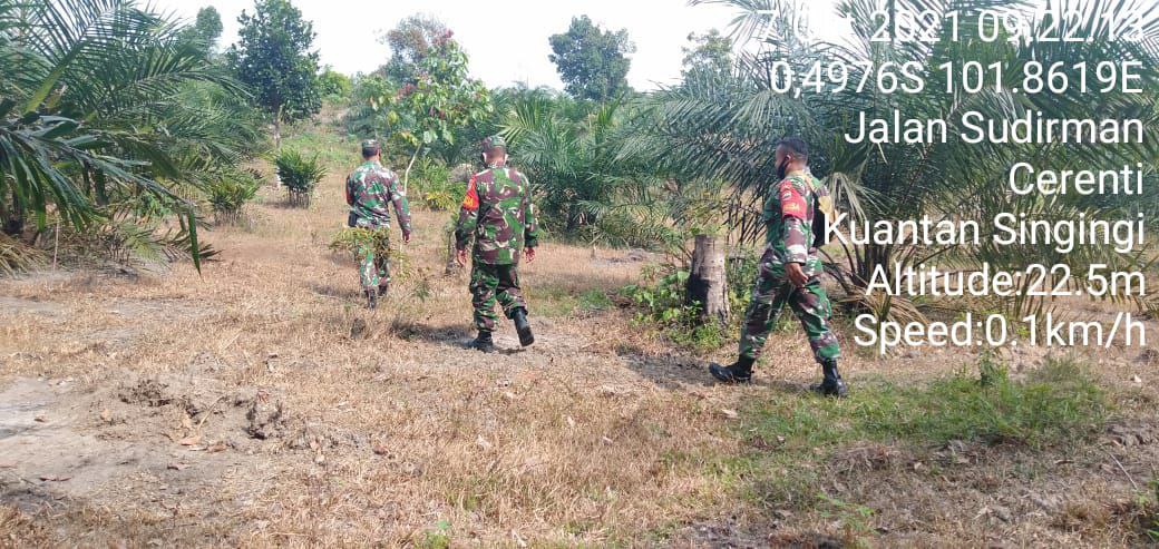 Babinsa Koramil 06/Cerenti  Kodim 0302 Inhu Kembali Laksanakan Patroli Karlahut Bersama Warga Sikakak
