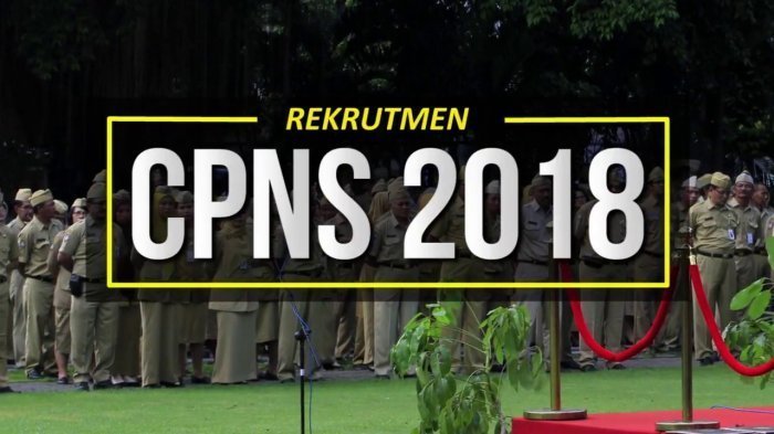 Sudah 47.080 Orang Daftar CPNS 2018 di Riau, Pemprov Terbanyak, Pemkab Rohil Paling Sedikit