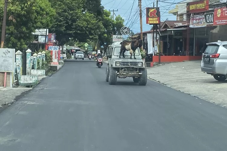 Sinergi PUPR Pekanbaru dan Pemprov Riau, Jalan Mulus Kota Bertuah Semakin Nyaman