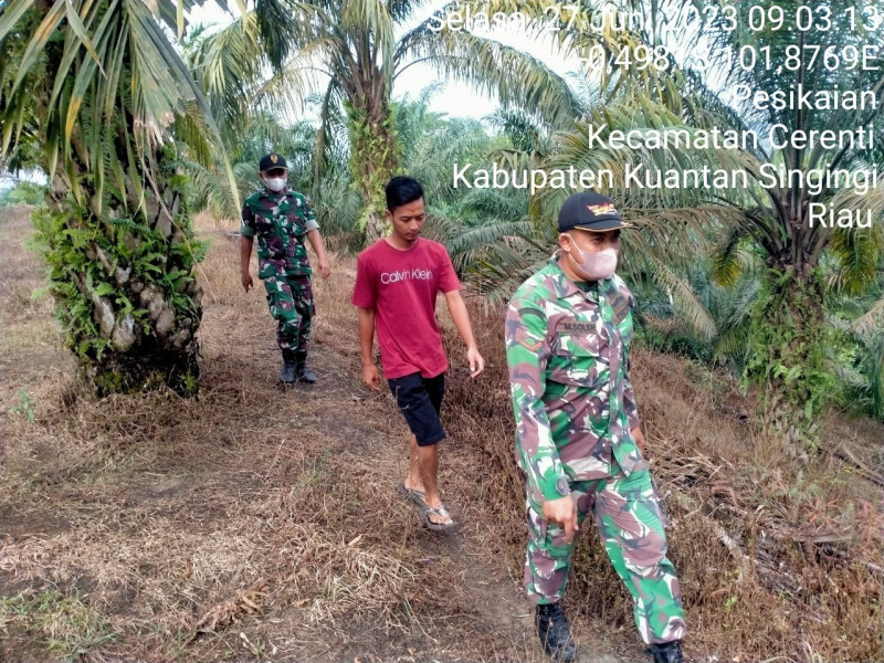 Sertu Firman Dan Kopda Mohamad Soleh Babinsa Koramil 06/Cerenti Kodim 0302/Inhu Laksanakan Patroli Dan Sosialisasi Untuk Cegah Kebakaran Hutan Dan Lahan
