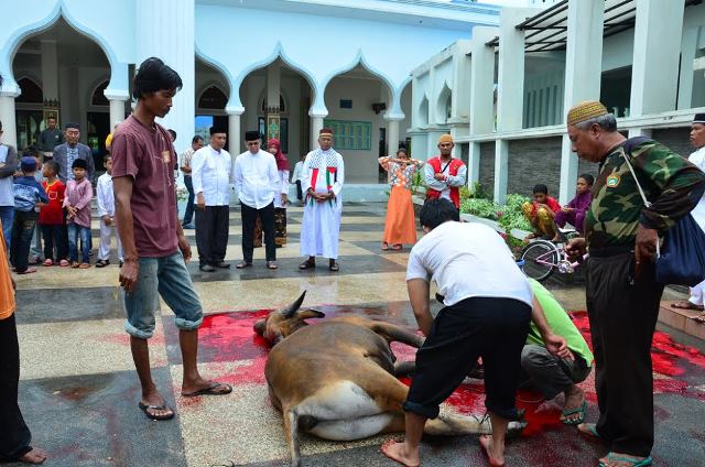 Muhammad Saksikan Langsung Pemotongan Hewan Kurban
